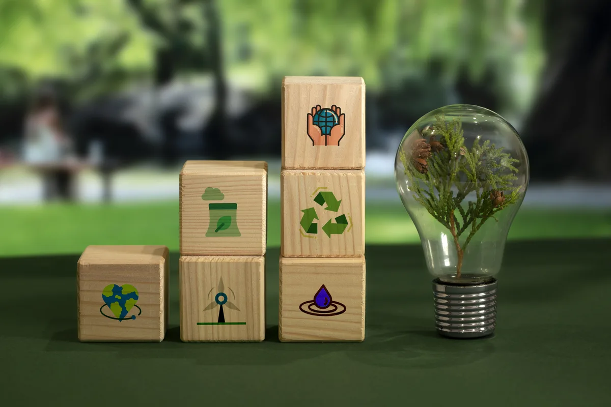 Wooden blocks illustrating sustainability icons beside a small plant growing inside a lightbulb